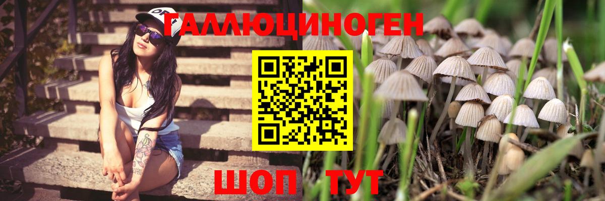 Галлюциногенные грибы MAGIC MUSHROOMS Канск