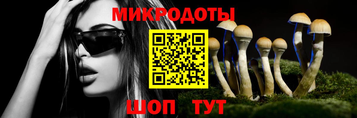 Псилоцибиновые грибы Psilocybine cubensis  Галлюциногенные грибы Cubensis  продажа наркотиков  Канск  Вход с VPN 